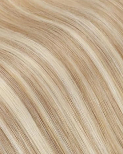 Blonde Highlight Color